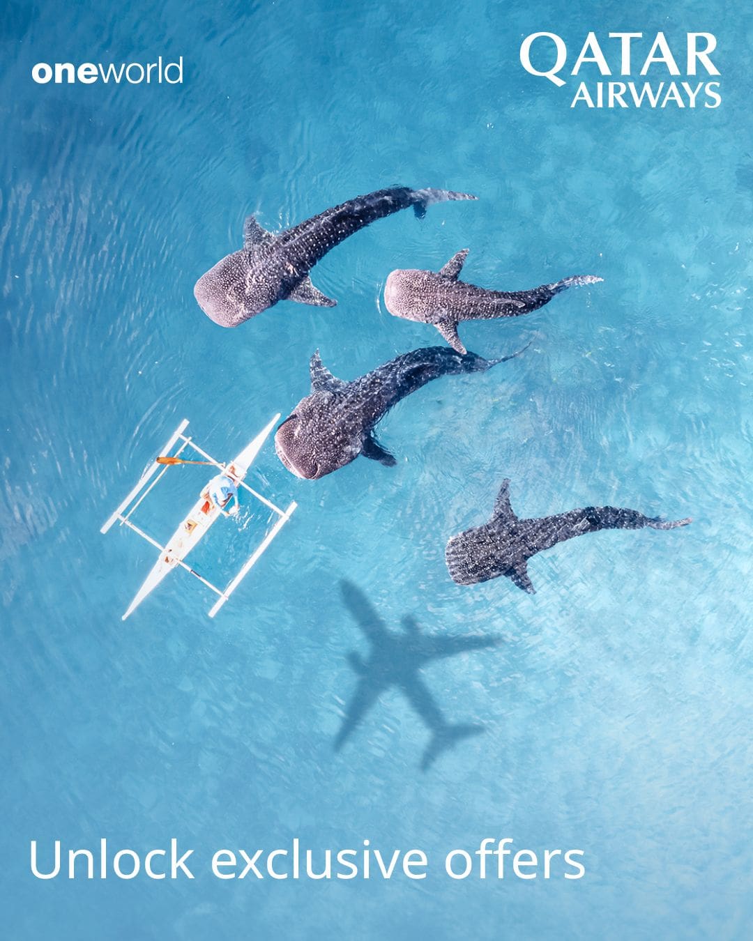 Ekskluzywna, limitowana promocja Qatar Airways